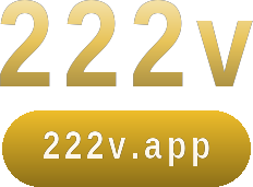 222v logo